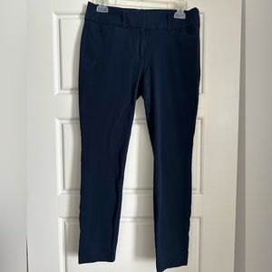 Loft Skinny Ankle Pants